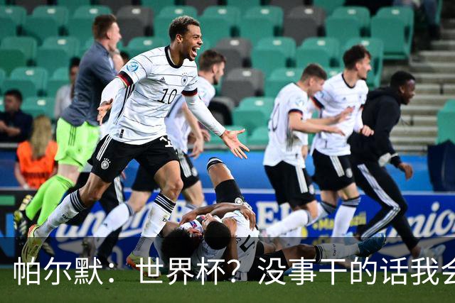 帕尔默：世界杯？没事干的话我会看看，我希望他们能走到最后