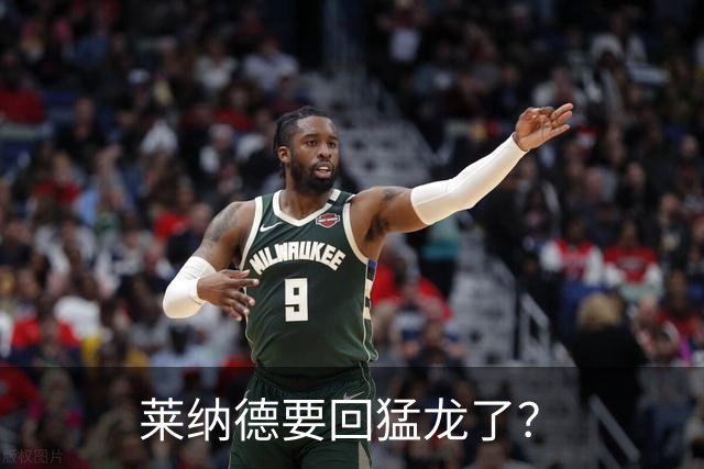 莱纳德要回猛龙了？